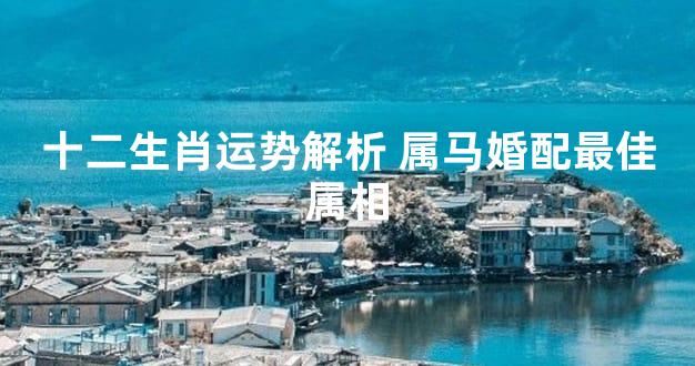 十二生肖运势解析 属马婚配最佳属相